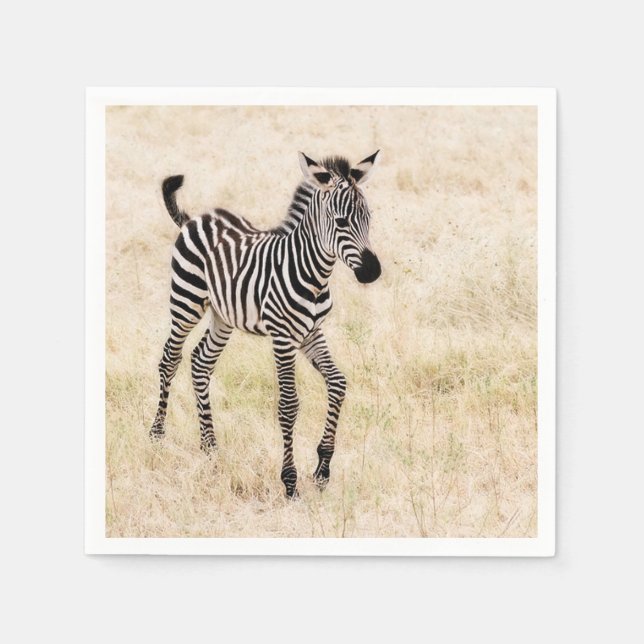 Guardanapo De Papel Zebra Colt (Frente)