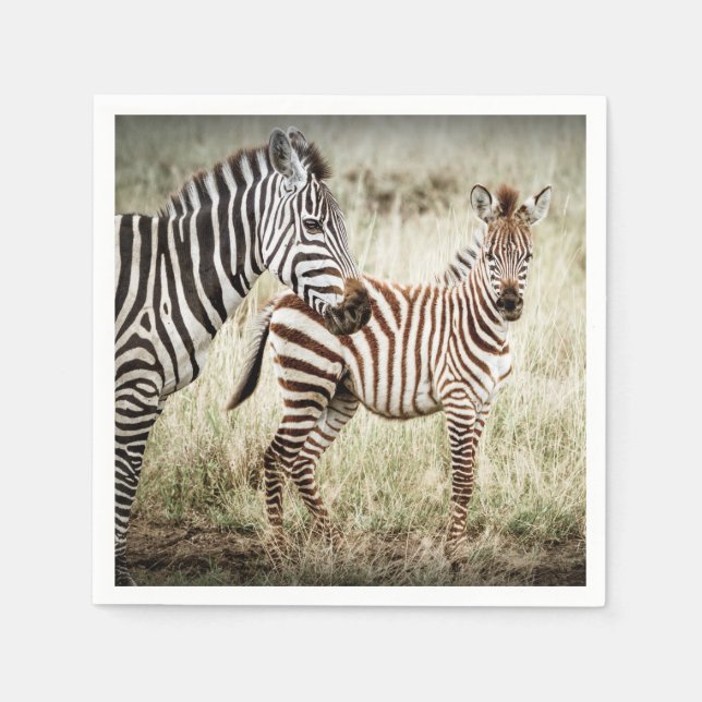 Guardanapo De Papel Zebra e Baby Napkins (Frente)