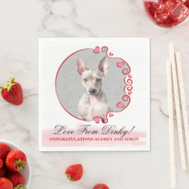 Guardanapos American Hairless Terrier Com Foto de