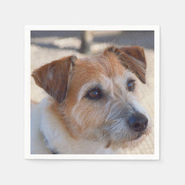 Guardanapos de cães bonitos