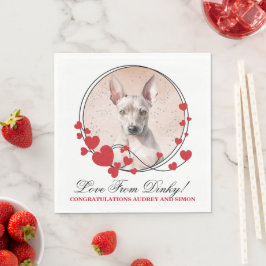 Guardanapos de casamento do American Hairless Terr