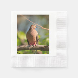 Guardanapos de coquetel com fotografia de pomba im