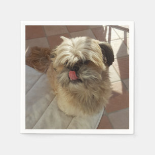 Guardanapos de papel com cachorro Shih Tzu