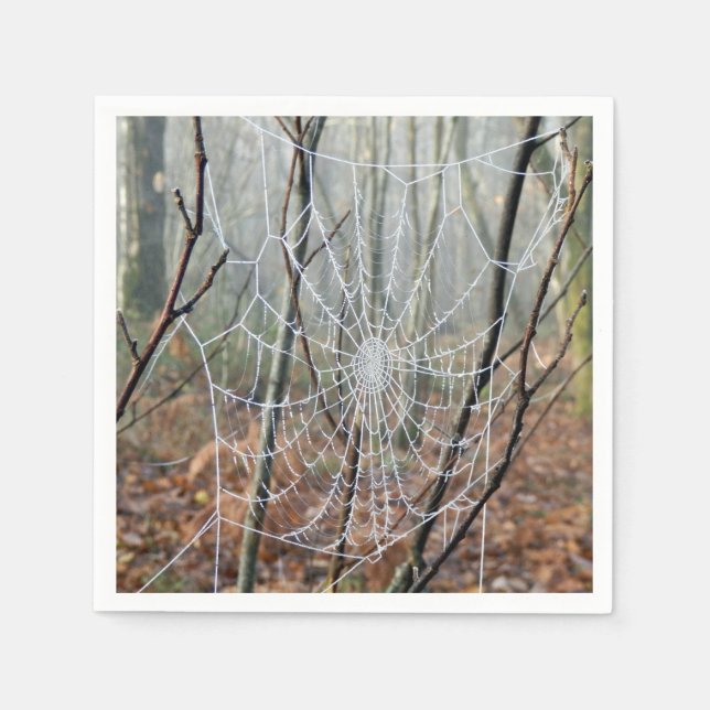Guardanapos de papel da teia da aranha-de-jardim-e (Frente)