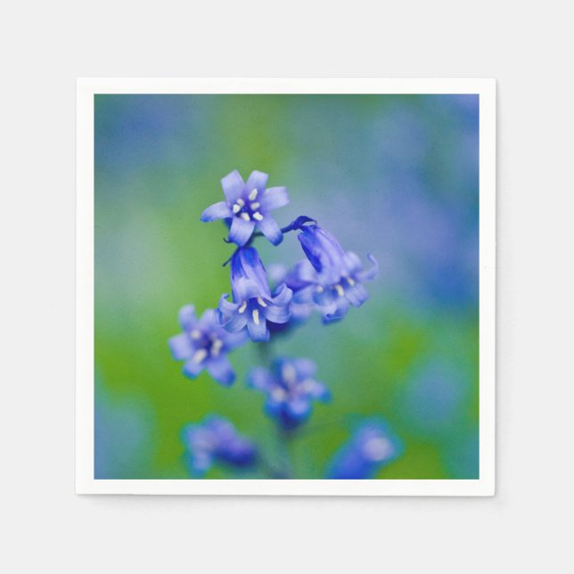 Guardanapos de papel para coquetel flor de campain (Frente)