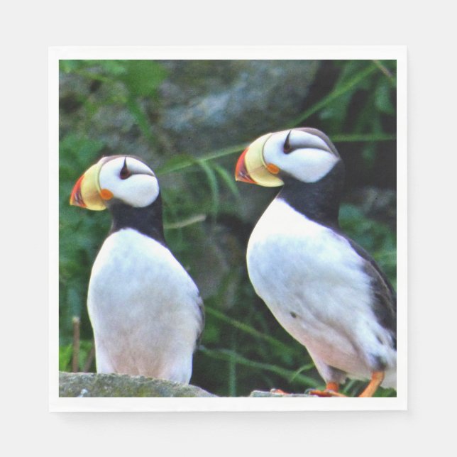 Guardanapos de papel standard com alfinetes (Frente)