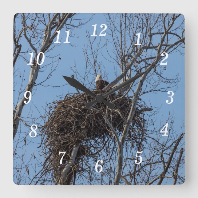 Guardando Relógio de Parede da Águia (Frente)