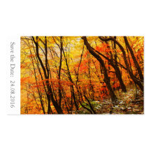 Guardar a data de outono/Cartões do Casamento outo