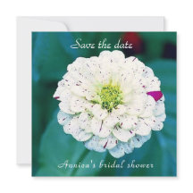 Guardar A Placa Plana Data