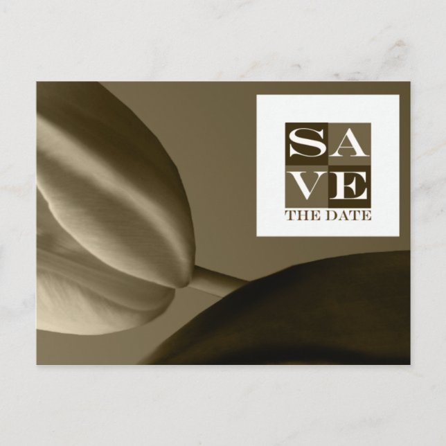 Guardar O Evento De Data E O Cartão Postal De Casa (Frente)