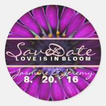 Guardar os adesivos de flor selvagem de data