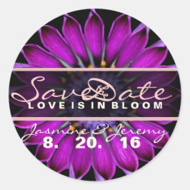 Guardar os adesivos de flor selvagem de data