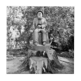 Guardião da Floresta