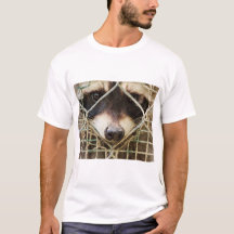guaxinim em camisetas
