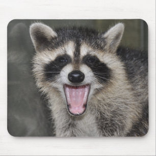 Guaxinim Mousepad - #1025