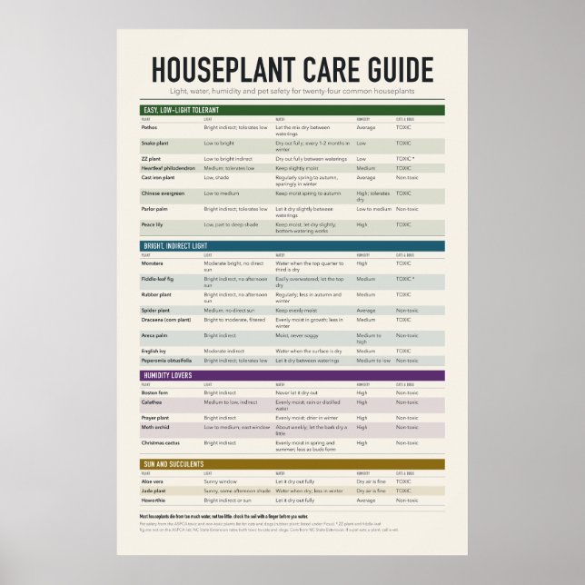 Guia de Poster de Cuidados com Plantas de Casa (Frente)