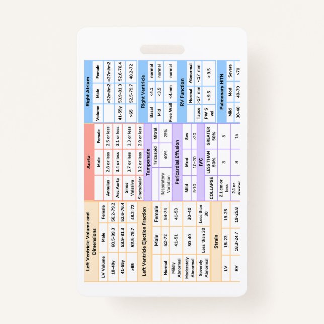 Guia de Referência Rápida do Crachá de Eco (Frente)