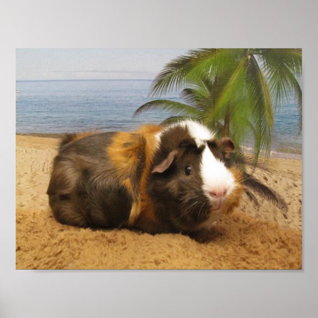 Guinea Pig  Under Palm Tree Poster (Frente)