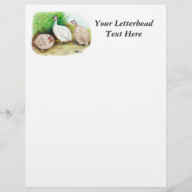 Guineense Fowl Outside (Frente)