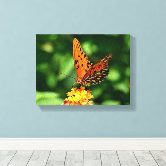 Gulf fritillary Butterfly Stretched Canvas Print (Insitu(piso de madeira))
