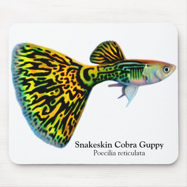 Guppy Mousepad da cobra de Snakeskin (Frente)