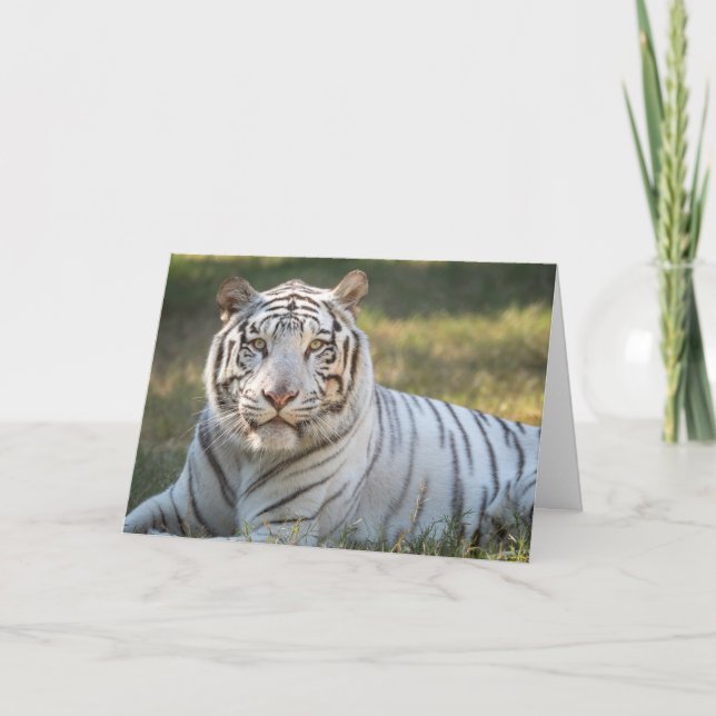 Gus - cartão - saudação personalizável (Frente)