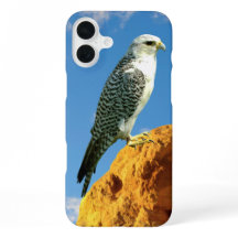 Gyfalcon empoleirado numa capa de telefone rock
