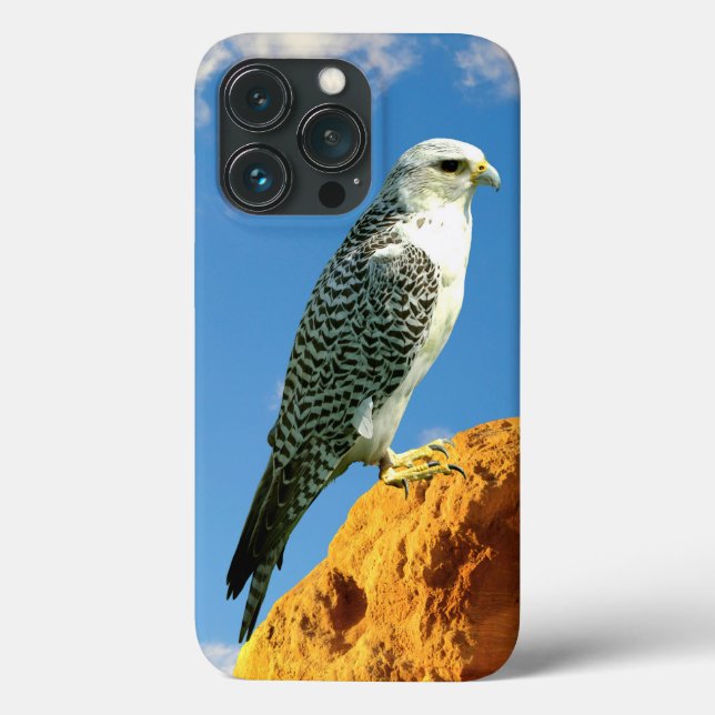Gyfalcon empoleirado numa capa de telefone rock (Verso)