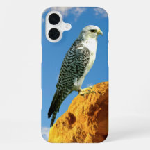 Gyfalcon empoleirado numa capa de telefone rock