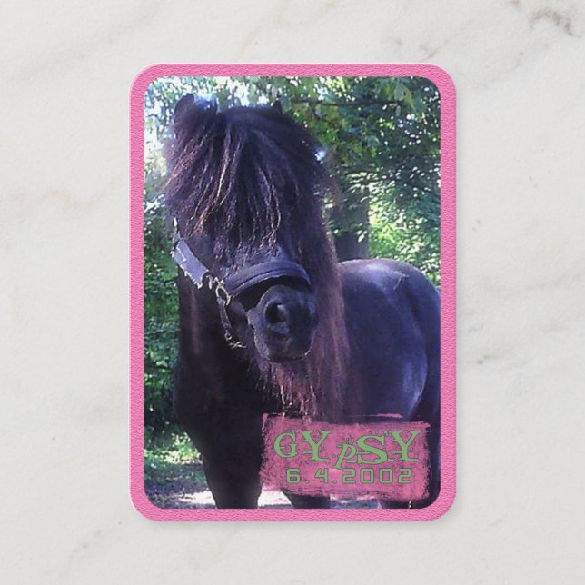 Gypsy - Cartão de visita (Frente)