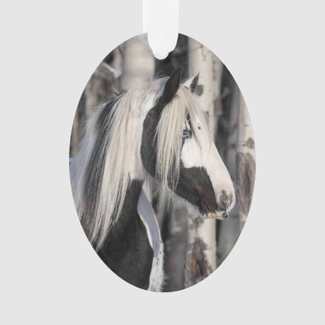 Gypsy no ornamento de Hoofbeats Selvagens Floresta (Frente)