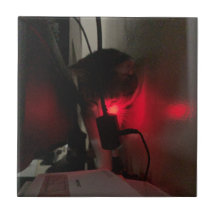 GZ & LTS - MODO DE ALIMENTAÇÃO TURBO