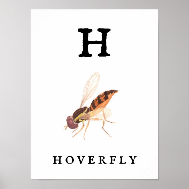 "H" Hoverfly Impressão, Valor Poster Paper (Matte) (Frente)