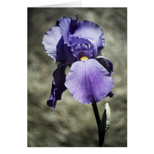 Há um Cartão de Beleza (Frente)