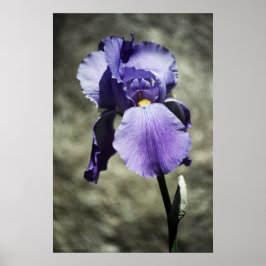 Há um Impressão de beleza