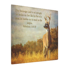 Habakkuk 3:18 Inspiracional