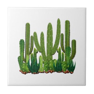 Habitat de Sonoran