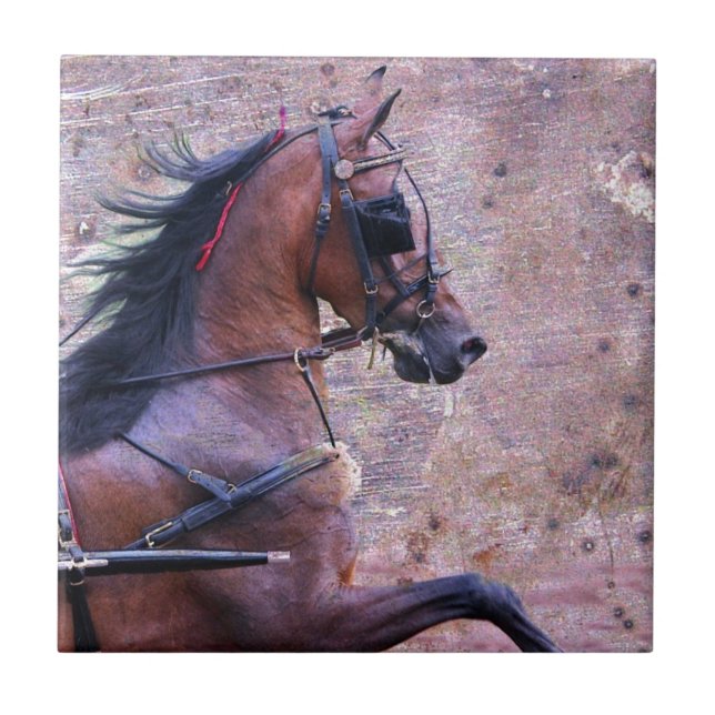 Hackney Grunge (Frente)