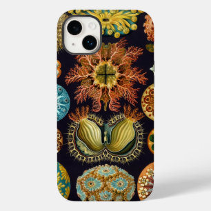 Haeckel