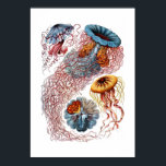 Haeckel Jellyfish Impressão<br><div class="desc">Impressão vibrante da ilustração da medusa Haeckel.</div>