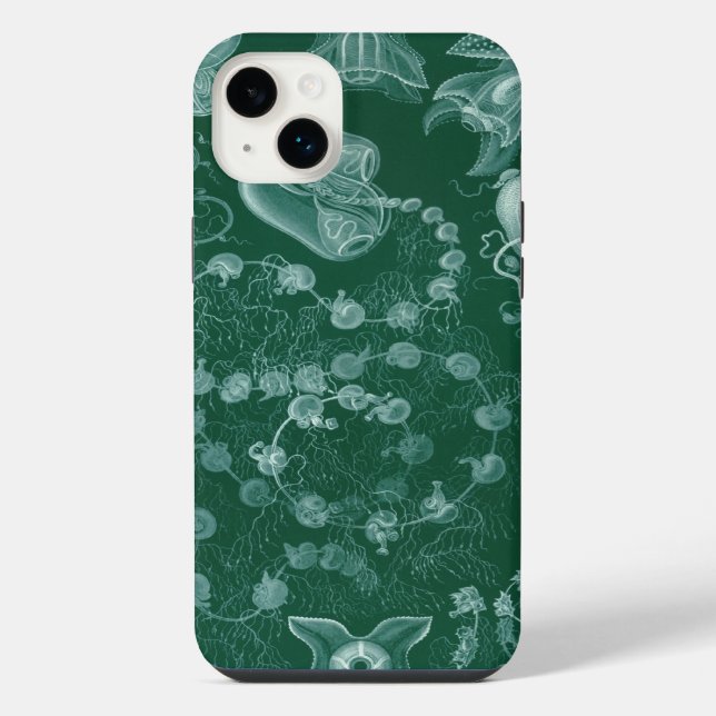 Haeckel Vintage (Verso)