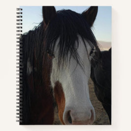 Hair in the Eyes Spiral Notebook