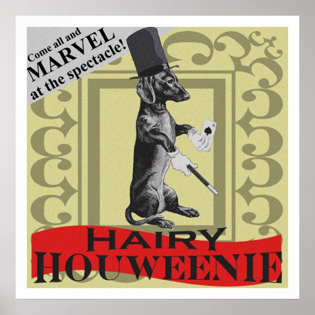 Hairy Houweenie! Poster de "Carnaval" do Cachorro  (Frente)