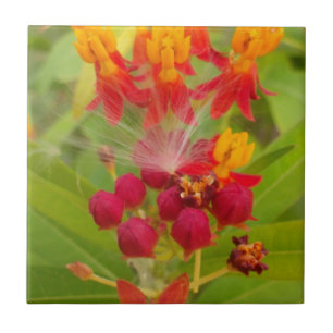Hakuna Matata, adorável Buds de Flor Amarelo verde