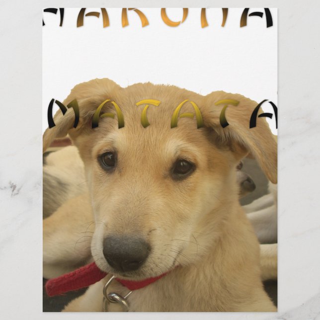 Hakuna Matata Eu sei o que você está pensando (Frente)