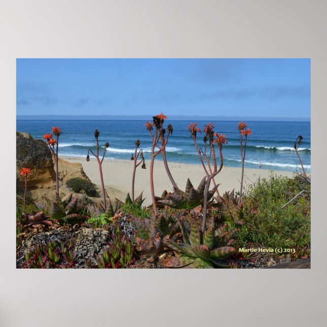 Half Moon Bay e Aloe Vera Private Beach Poster (Frente)
