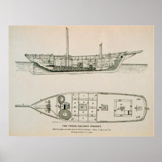 Halibut schonista poster