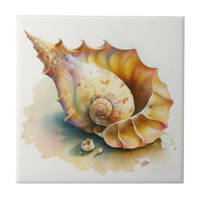 Haliotis Conch Shell Watercolor Azulejo (Frente)