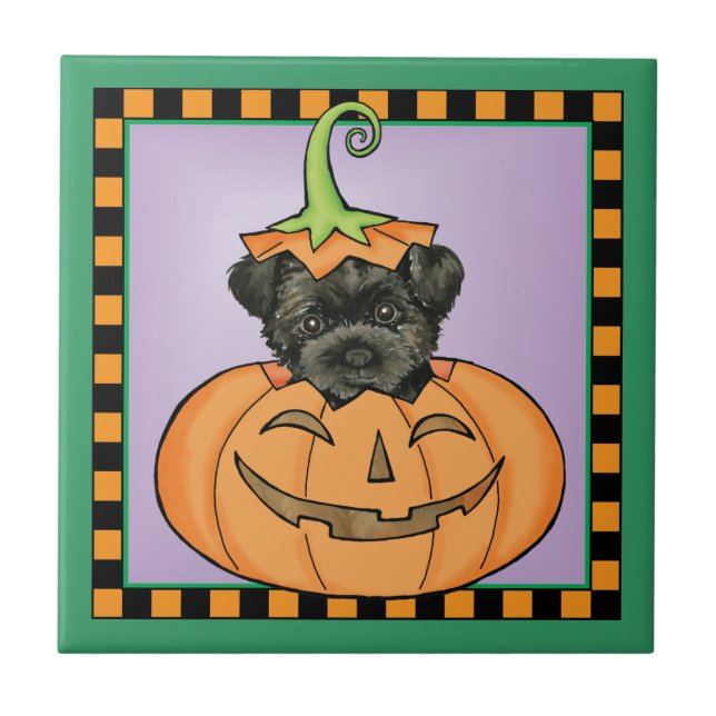 Halloween Affenpinscher (Frente)