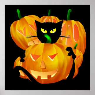 Halloween Black Cat e Pumpkins poster